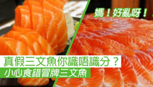 假三文魚 虹鱒魚