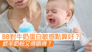 寶寶對牛奶蛋白敏感點算好？